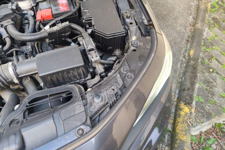Used Honda Civic 2022 240TURBO CVT Dynamic Edition Engine Bay Left