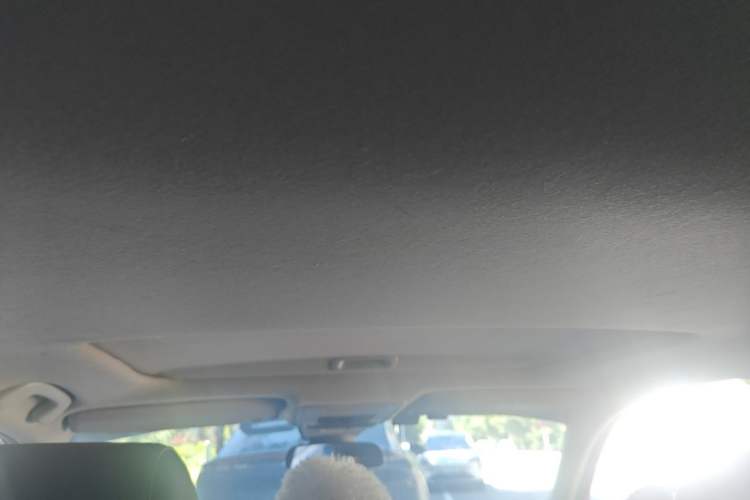 Used Honda Civic 2022 240TURBO CVT Dynamic Edition Headliner