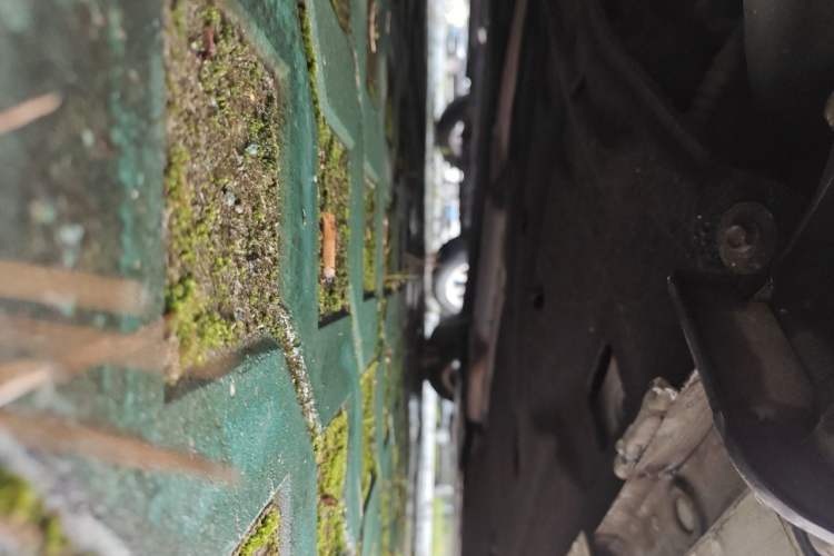 Used Honda Civic 2022 240TURBO CVT Dynamic Edition Chassis Rear Right