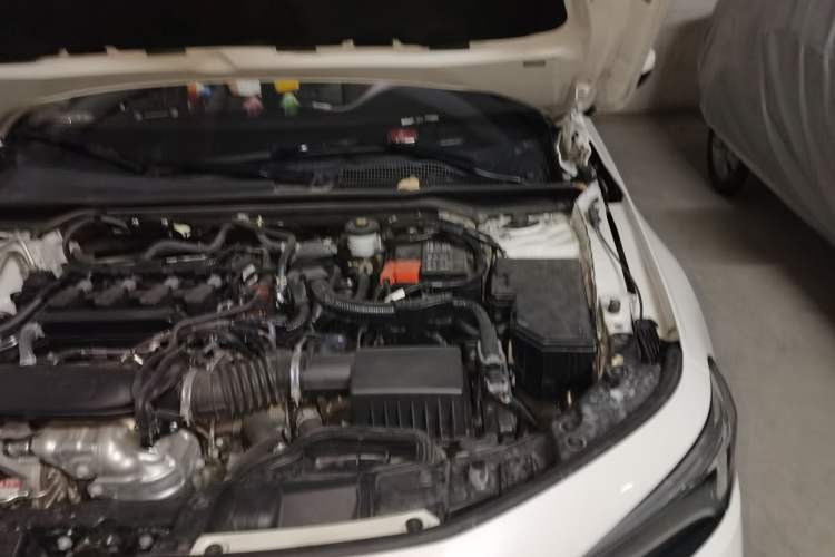 Used Honda Civic 2022 240TURBO CVT Dynamic Edition Engine Bay Left