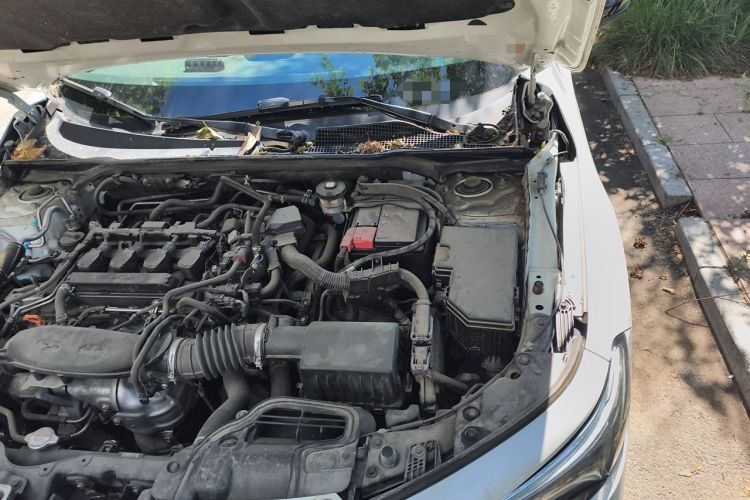 Used Honda Civic 2022 240TURBO CVT Dynamic Edition Engine Bay Left