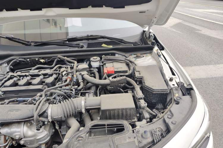 Used Honda Civic 2022 240TURBO CVT Dynamic Edition Engine Bay Left