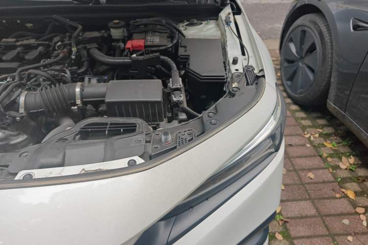 Used Honda Civic 2022 240TURBO CVT Dynamic Edition Engine Bay Left