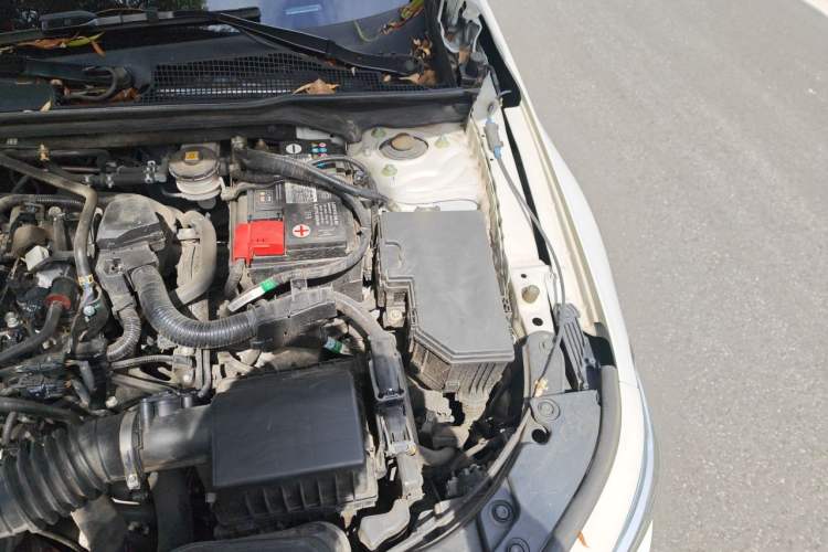 Used Honda Civic 2022 240TURBO CVT Dynamic Edition Engine Bay Left