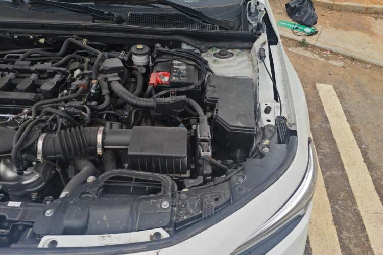 Used Honda Civic 2022 240TURBO CVT Dynamic Edition Engine Bay Left