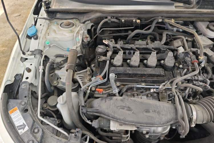 Used Honda Civic 2022 240TURBO CVT Dynamic Edition Engine Bay Right
