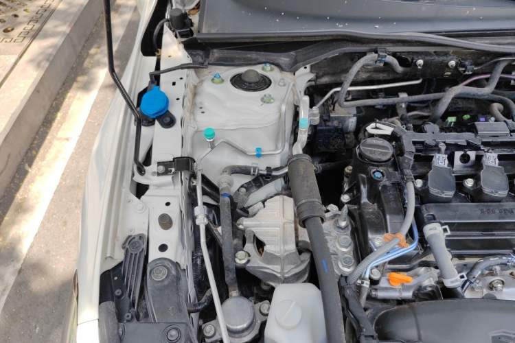 Used Honda Civic 2022 240TURBO CVT Dynamic Edition Engine Bay Right