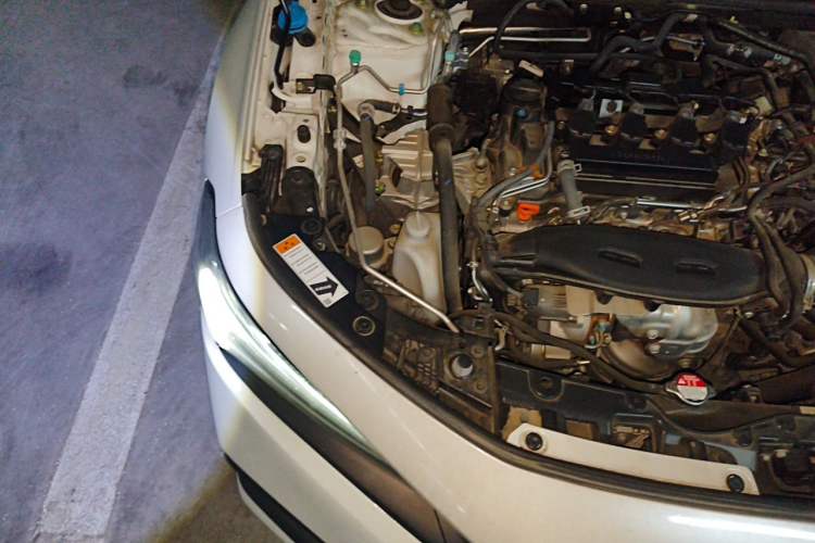 Used Honda Civic 2022 240TURBO CVT Dynamic Edition Engine Bay Right