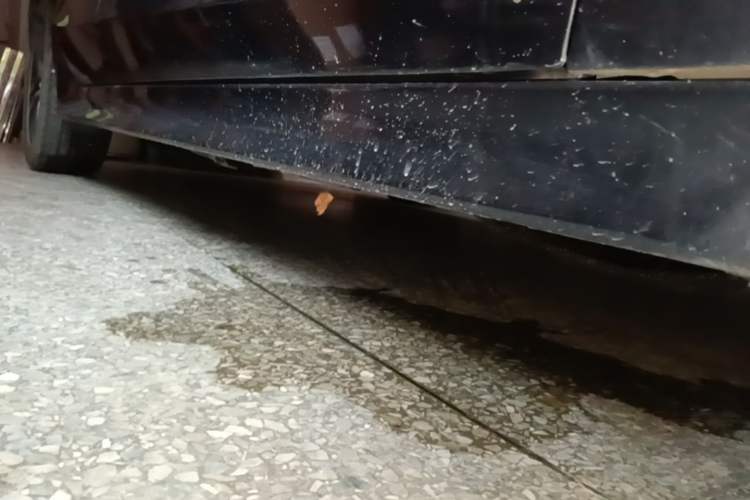 Used Honda Civic 2023 240TURBO CVT Dynamic · Center Stage Special Edition Right Side Sill