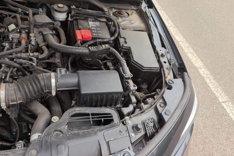 Used Honda Civic 2023 240TURBO CVT Dynamic Edition Engine Bay Left
