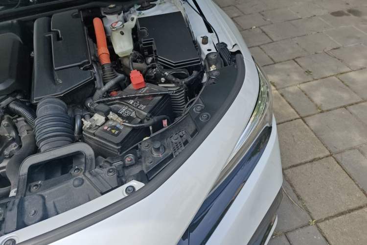 Used Honda Civic 2023 2.0L eHEV Sharp Edition Engine Bay Left