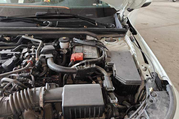 Used Honda Civic 2023 240TURBO CVT Dynamic Edition Engine Bay Left