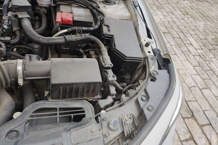 Used Honda Civic 2023 240TURBO CVT Dynamic · Center Stage Special Edition Engine Bay Left