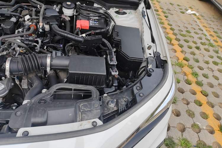 Used Honda Civic 2023 240TURBO CVT Dynamic · Center Stage Special Edition Engine Bay Left