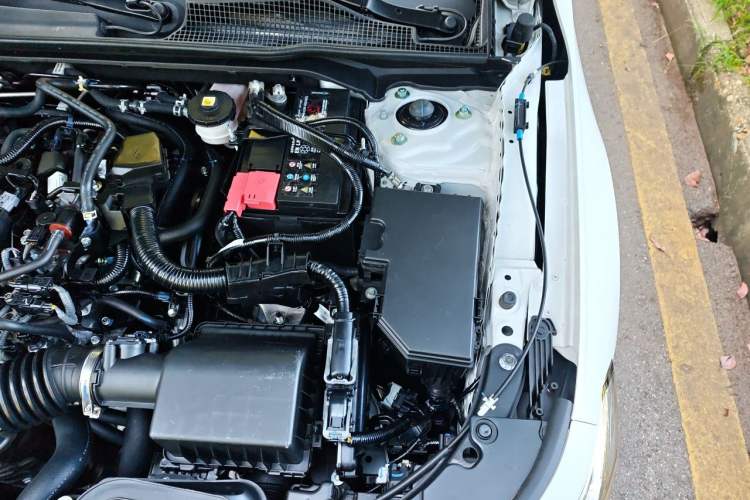 Used Honda Civic 2023 240TURBO CVT Dynamic Edition Engine Bay Left