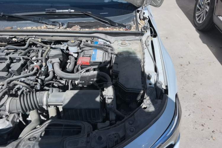 Used Honda Civic 2023 240TURBO CVT Dynamic Edition Engine Bay Left