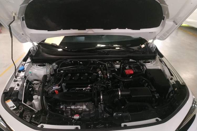 Used Honda Civic 2023 240TURBO CVT Dynamic · Center Stage Special Edition Engine Bay