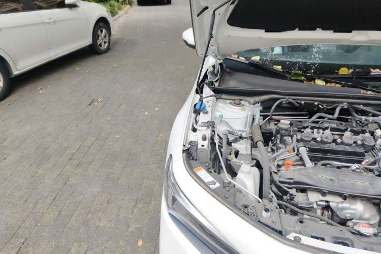 Used Honda Civic 2023 240TURBO CVT Dynamic · Center Stage Special Edition Engine Bay Right