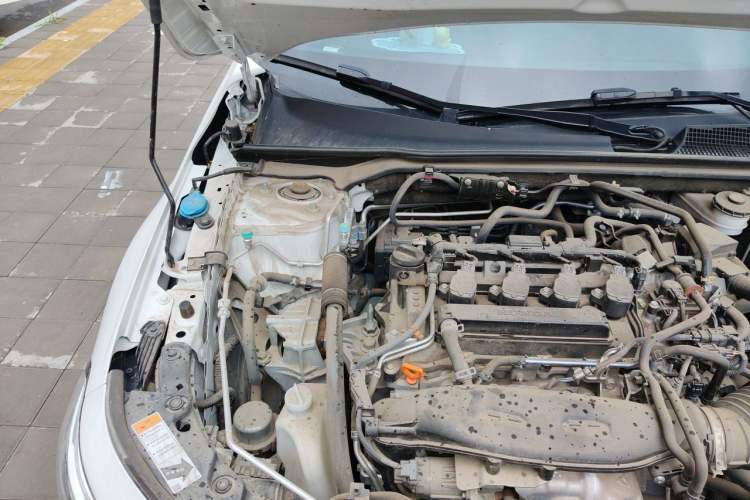 Used Honda Civic 2023 240TURBO CVT Dynamic Edition Engine Bay Right