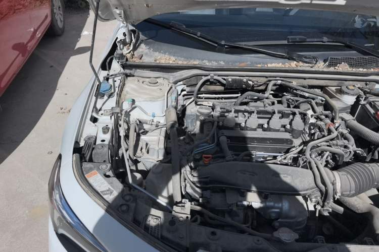 Used Honda Civic 2023 240TURBO CVT Dynamic Edition Engine Bay Right