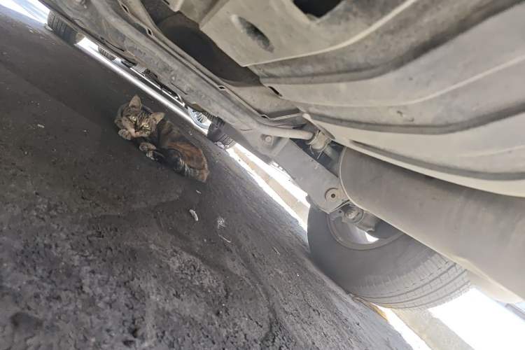 Used Honda CR-V 2012 2.0L two-wheel drive urban version Chassis Rear