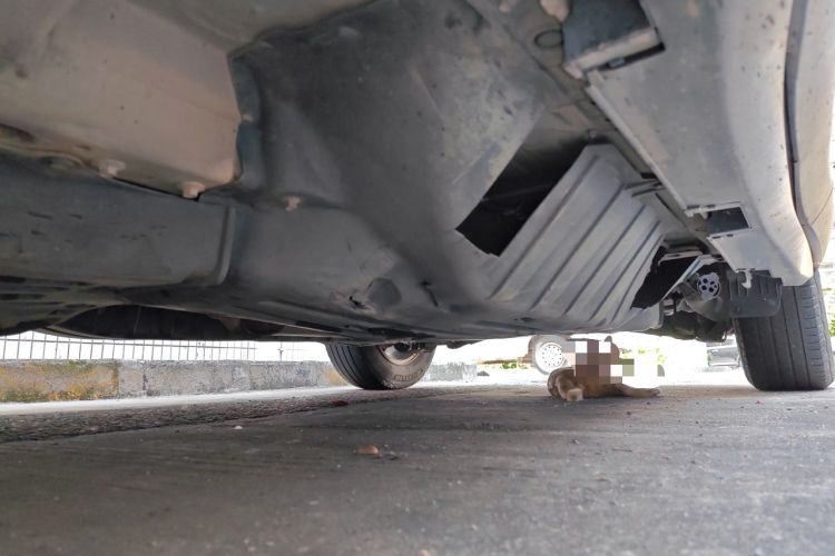 Used Honda CR-V 2013 2.4L two-wheel drive luxury version Chassis Front Left