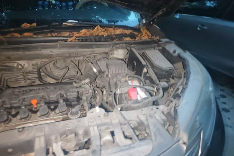 Used Honda CR-V 2013 2.0L 2WD Classic Edition Engine Bay Left