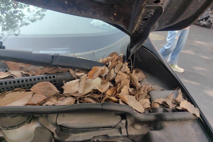 Used Honda CR-V 2013 2.0L 2WD Classic Edition Engine Bay Left