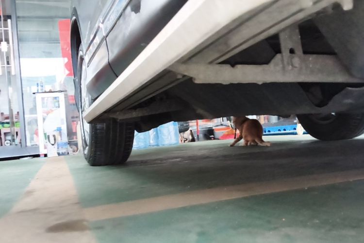 Used Honda CR-V 2013 2.4L two-wheel drive luxury version Right Side Sill