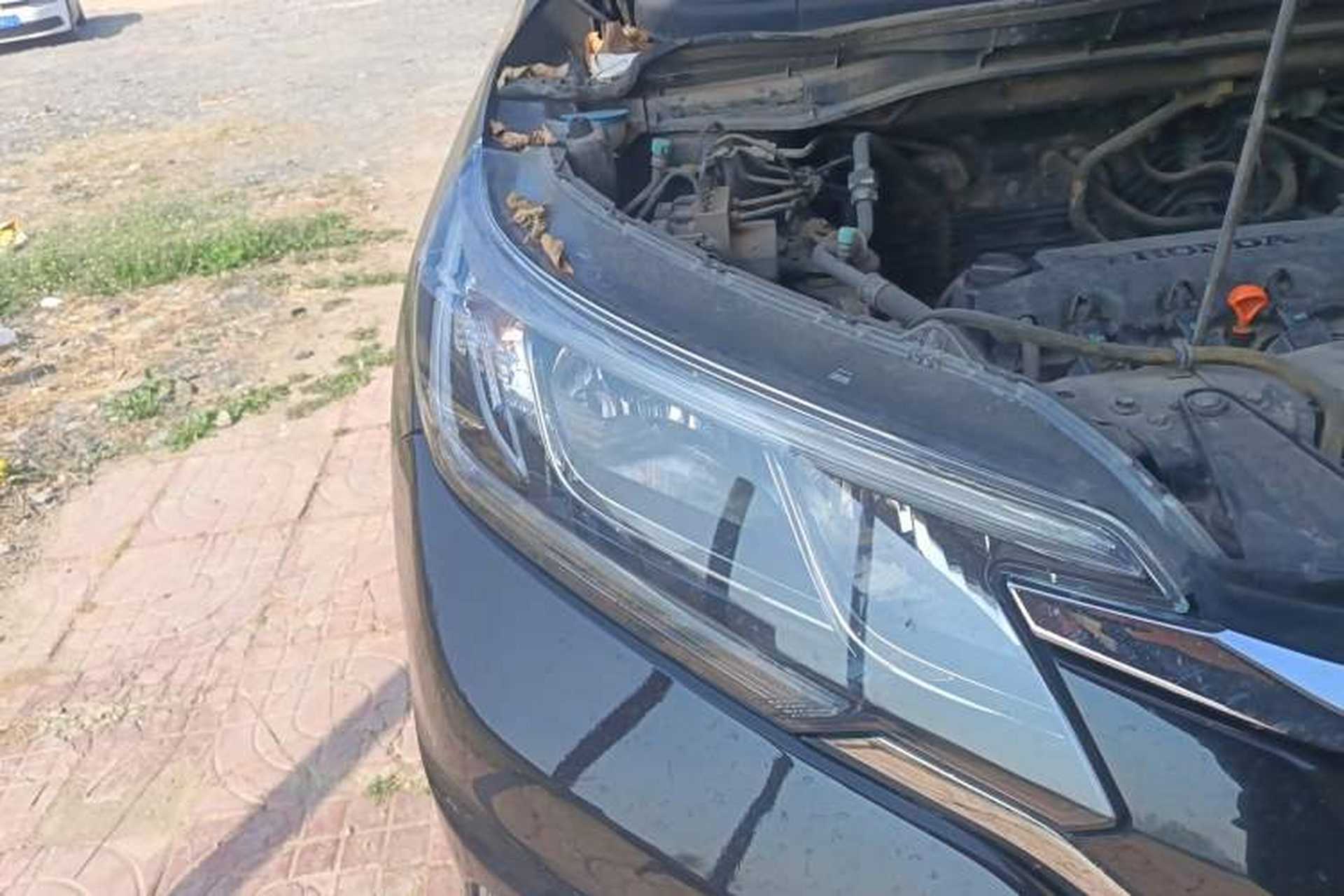 Used Honda CR-V 2015 2.0L two-wheel drive Fashion Edition Right Front Headlight