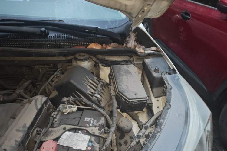 Used Honda CR-V 2015 2.4L two-wheel drive luxury version Engine Bay Left