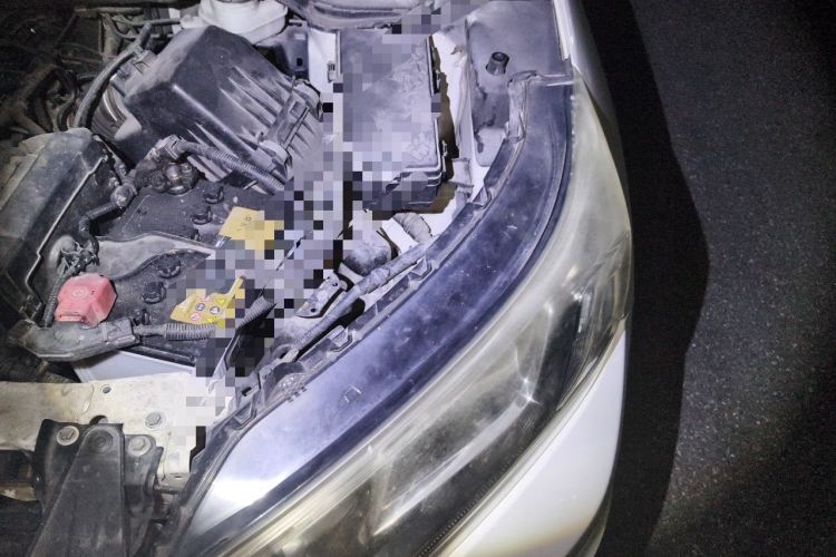 Used Honda CR-V 2015 2.4L two-wheel drive luxury version Engine Bay Left