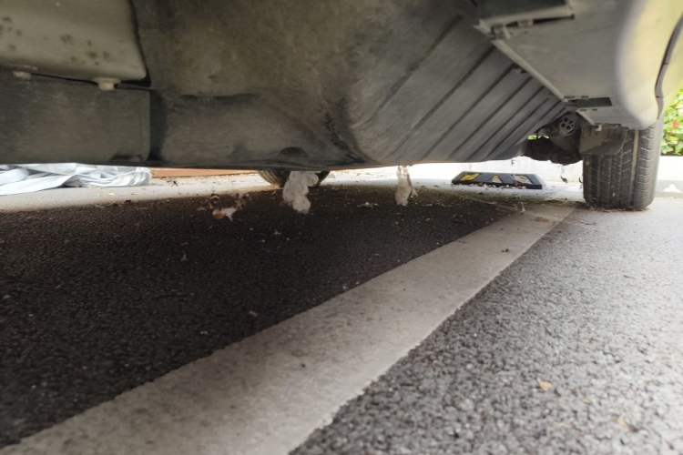 Used Honda CR-V 2016 2.0L two-wheel drive Urban Edition Chassis Front Left