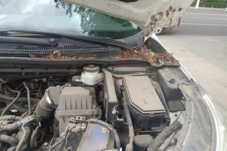 Used Honda CR-V 2016 2.0L two-wheel drive Urban Edition Engine Bay Left