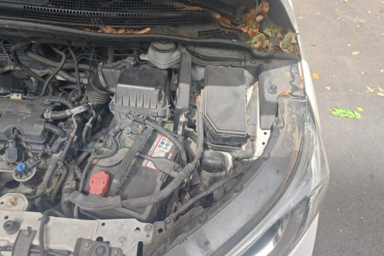 Used Honda CR-V 2016 2.0L two-wheel drive Urban Edition Engine Bay Left