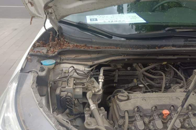 Used Honda CR-V 2016 2.0L two-wheel drive Urban Edition Engine Bay Right