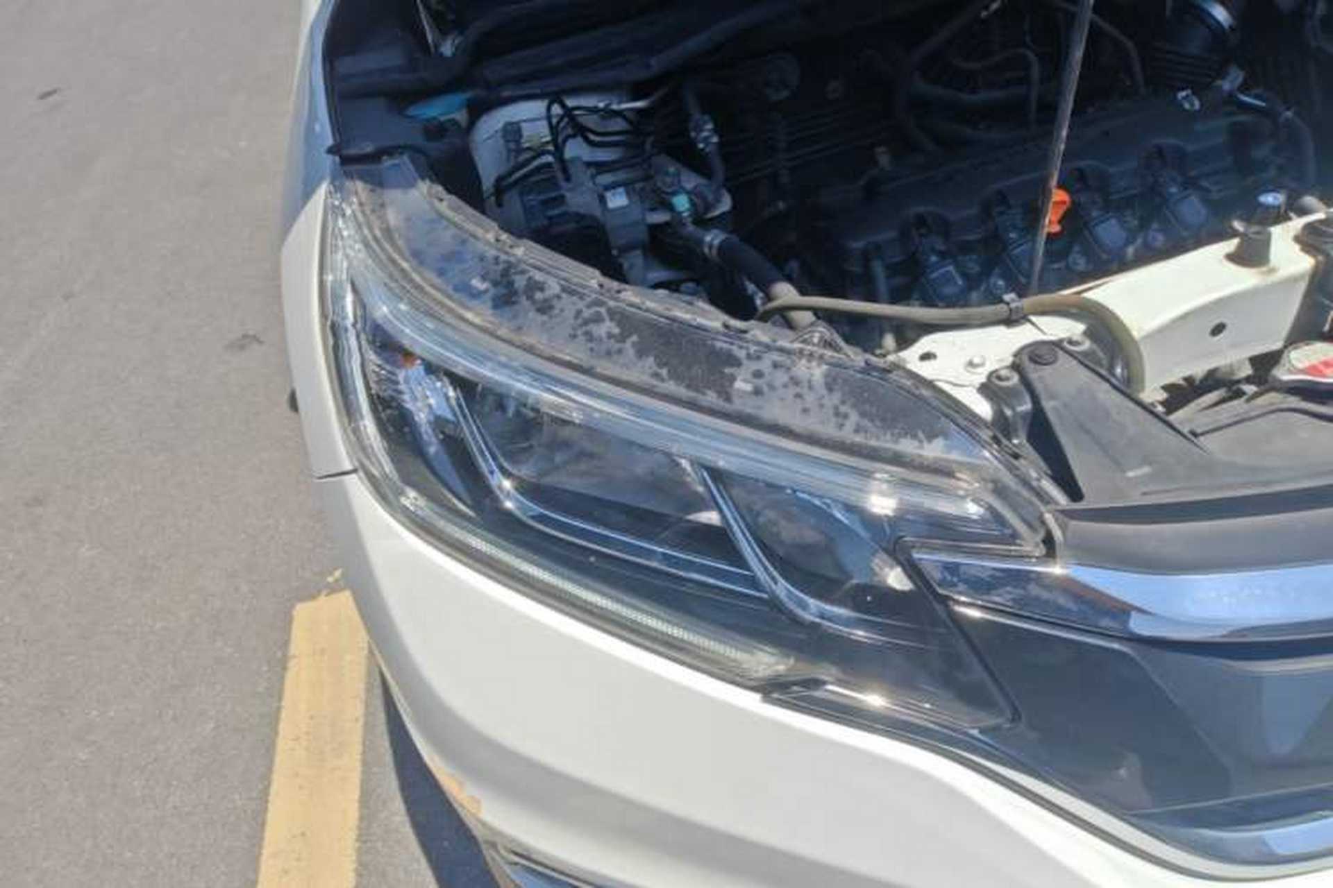 Used Honda CR-V 2016 2.0L two-wheel drive Urban Edition Right Front Headlight