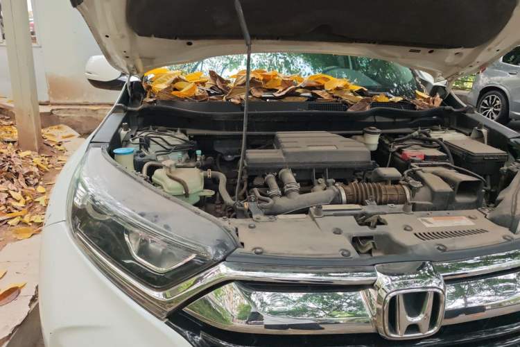 Used Honda CR-V 2017 240TURBO CVT Front-Wheel Drive Fashion Edition Engine Bay Right