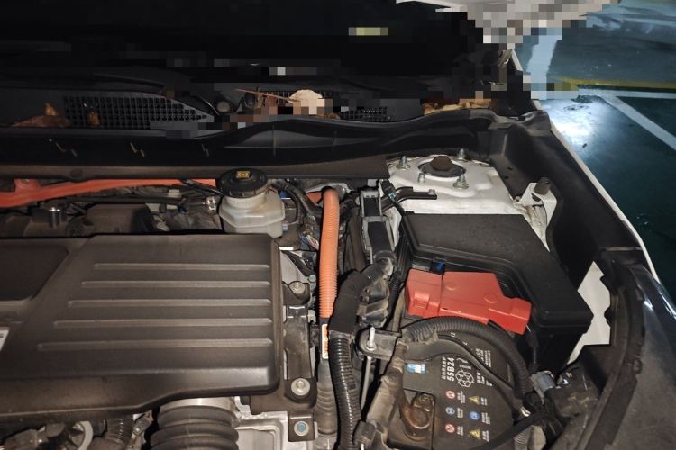 Used Honda CR-V 2019 Rui Hybrid 2.0L 2WD Pure Drive Version China V Emission Standard Engine Bay Left