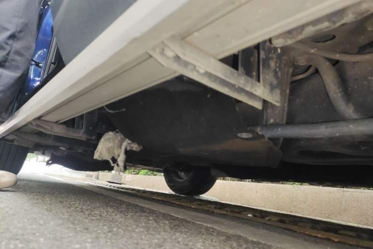 Used Honda CR-V 2021 240TURBO CVT 2WD Fashion Edition Chassis Rear Left
