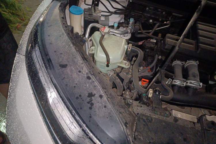 Used Honda CR-V 2021 240TURBO CVT 2WD Fashion Edition Engine Bay Right