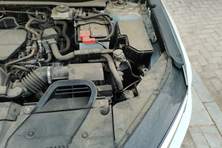 Used Honda CR-V 2023 240TURBO Two-Wheel Drive Active Version 5 Seats Engine Bay Left
