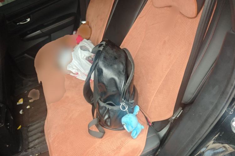Used Honda CR-V 2024 2.0L eHEV Two-Wheel Drive Smart Edition Left Rear Seat