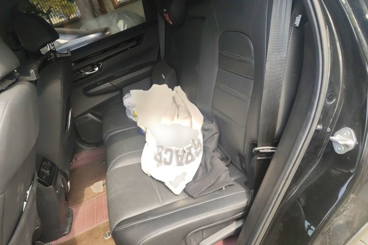 Used Honda CR-V New Energy 2023 2.0L ePHEV Luxury Edition Left Rear Seat