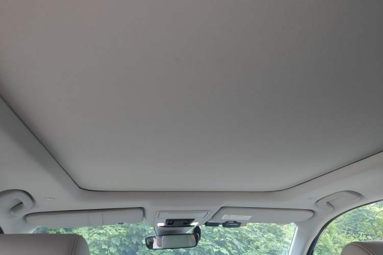 Used Honda CR-V New Energy 2023 2.0L ePHEV Luxury Edition Headliner
