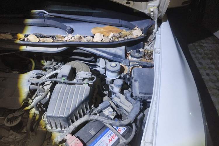 Used Honda Crider 2016 1.8L Manual Fashion Edition Engine Bay Left