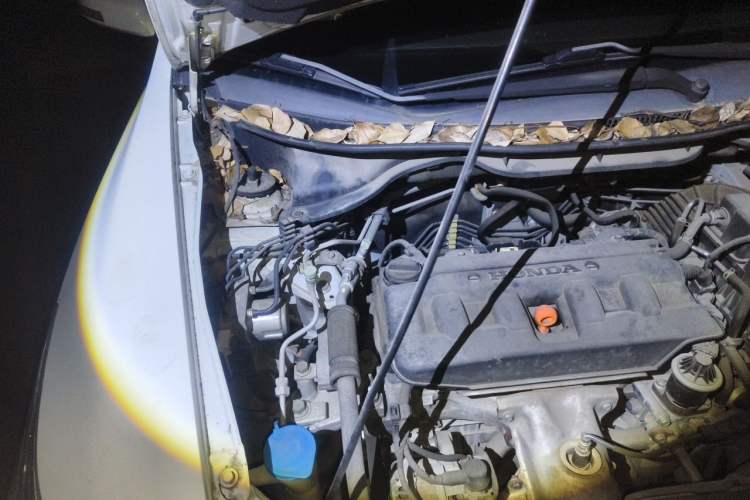 Used Honda Crider 2016 1.8L Manual Fashion Edition Engine Bay Right
