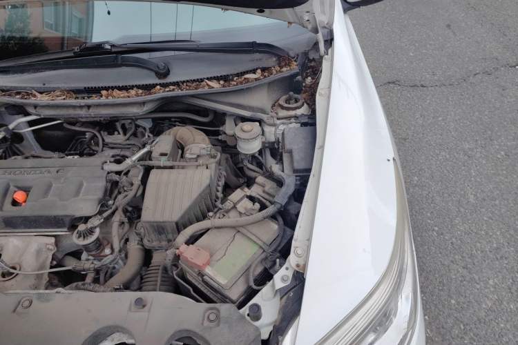 Used Honda Crider 2017 1.8L CVT Comfort Special Edition Engine Bay Left