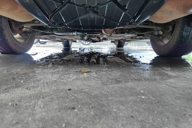 Used Honda Crosstour 2012 2.4L Luxury Edition Chassis Rear