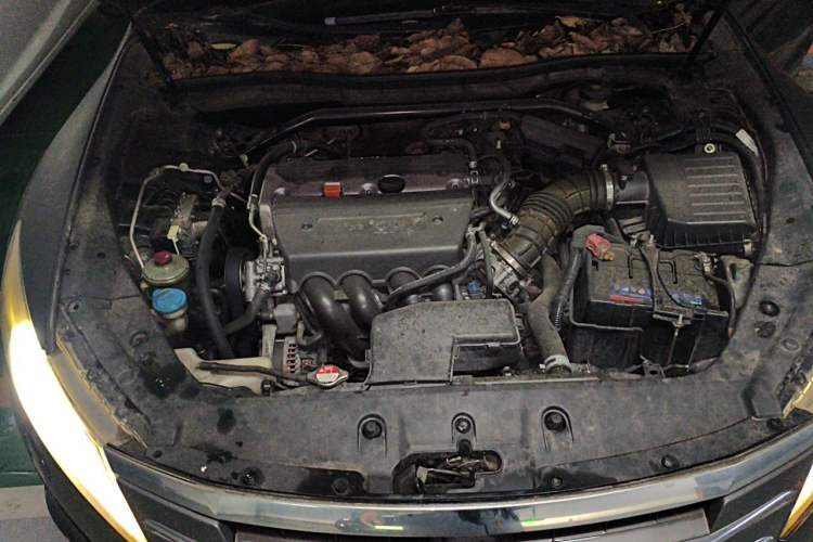 Used Honda Crosstour 2012 2.4L Luxury Edition Engine Bay